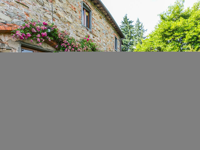 Fattoria Di Pietrabuona