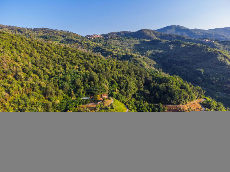Fattoria Di Pietrabuona