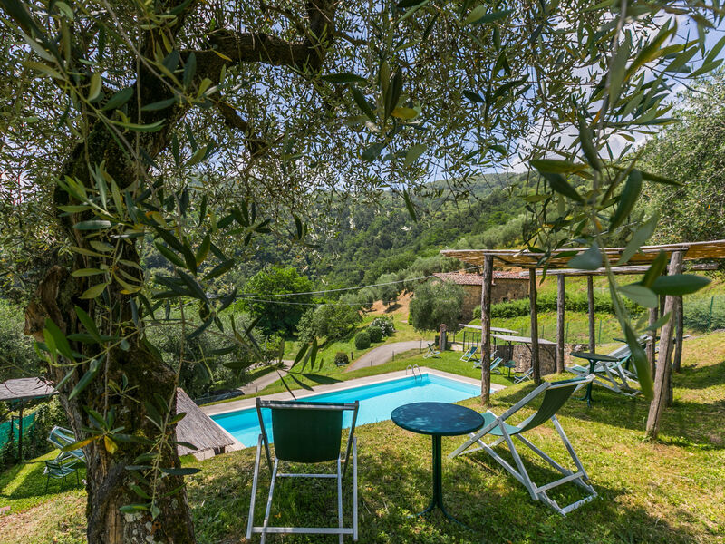 Fattoria Di Pietrabuona