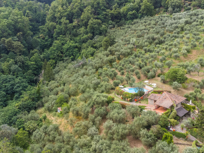 Santa Margherita