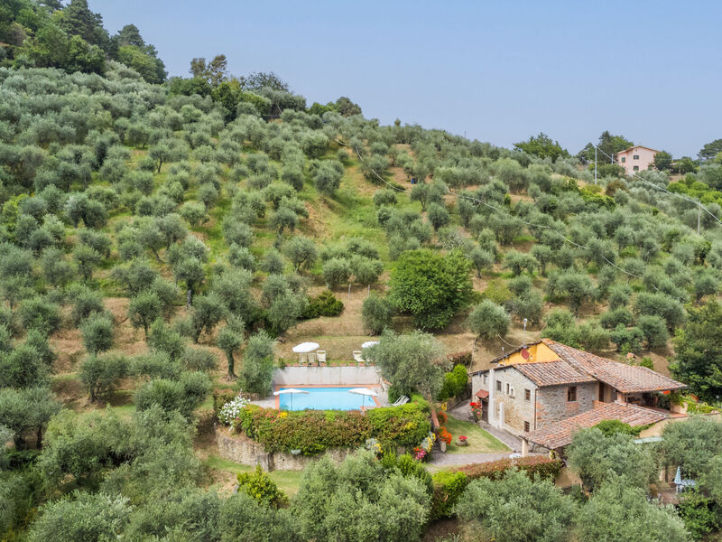 Santa Margherita
