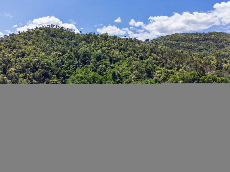 La Rossa