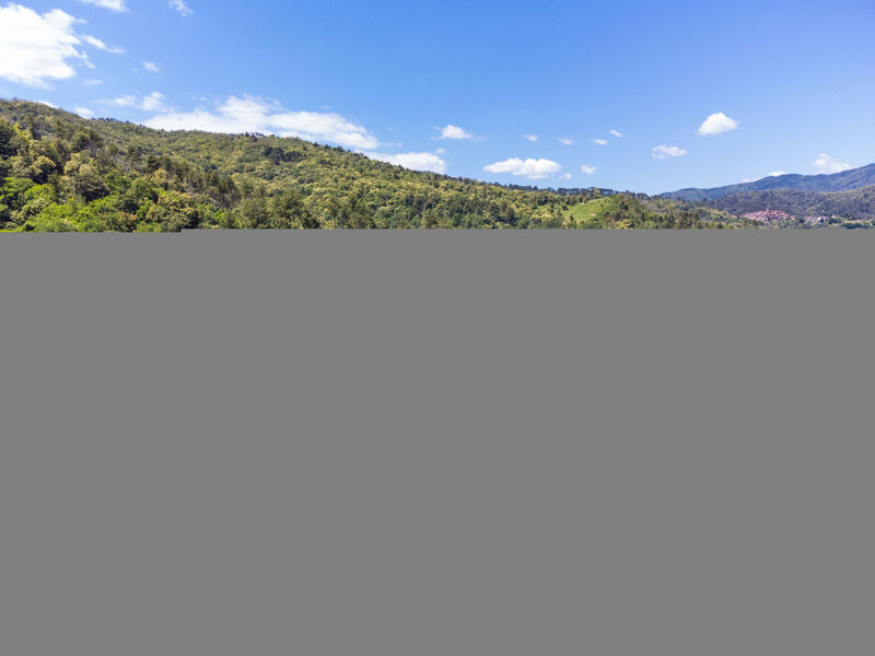 La Rossa