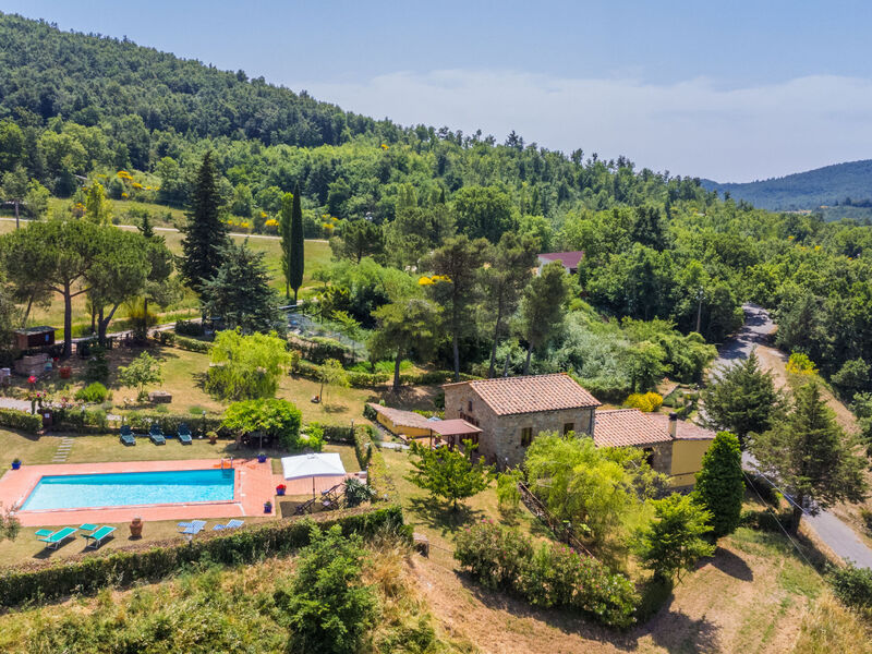 Pino Di Sopra