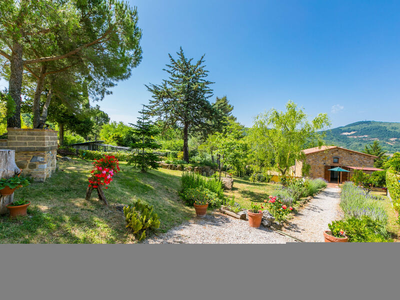 Pino Di Sopra