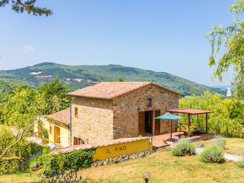 Pino Di Sopra