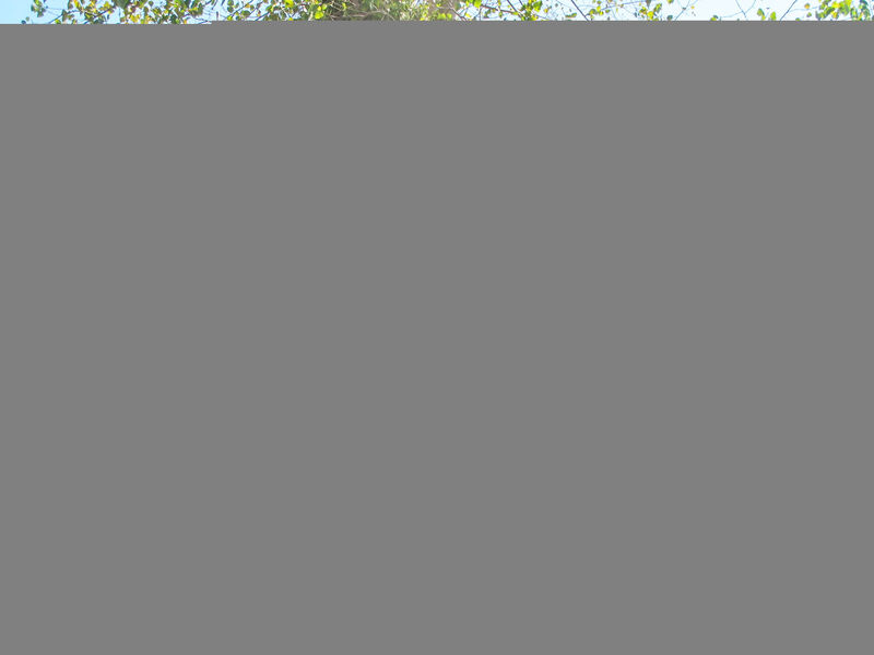 Camping Campeggio Italia