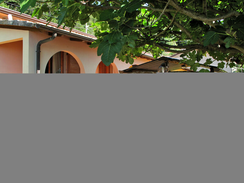 Casa Le Ortensie