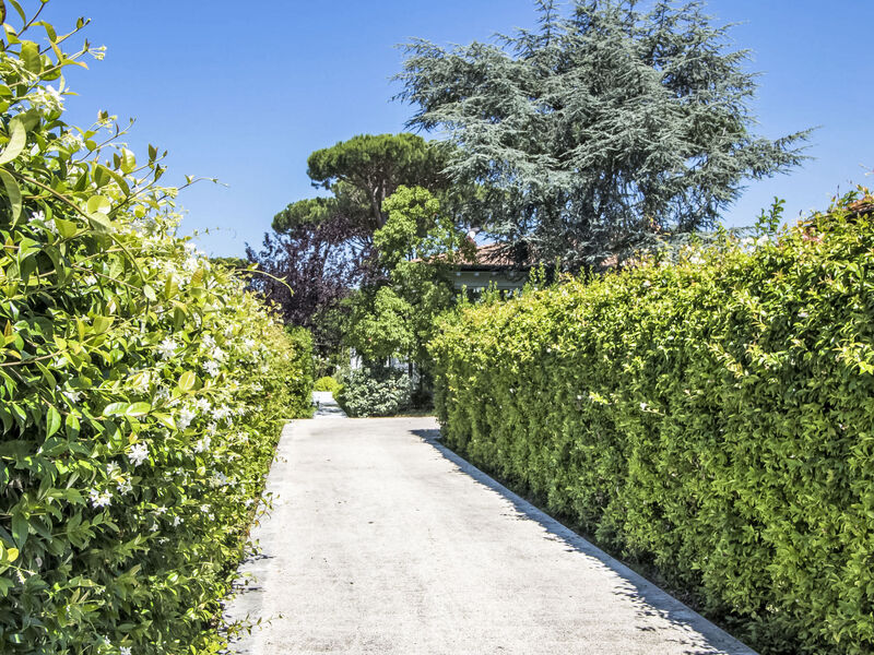 Delizia