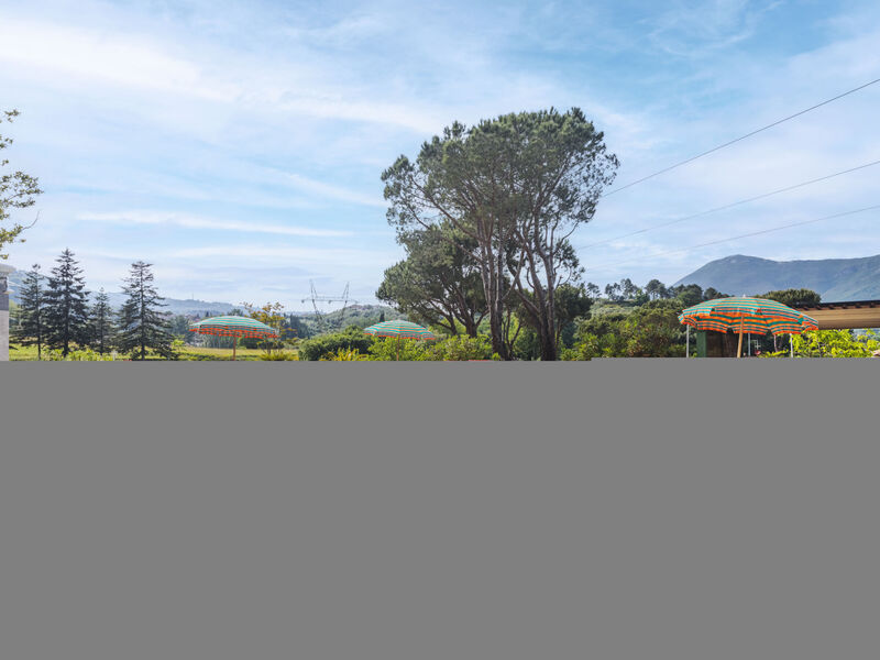 Casa Verde Versilia