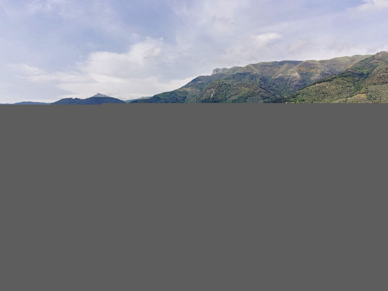 Casa Verde Versilia