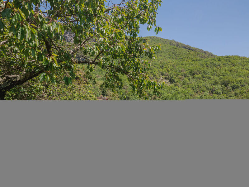 Podere Paradiso