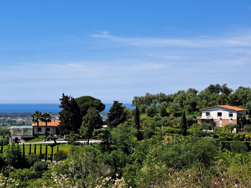 Hill Palace Villa