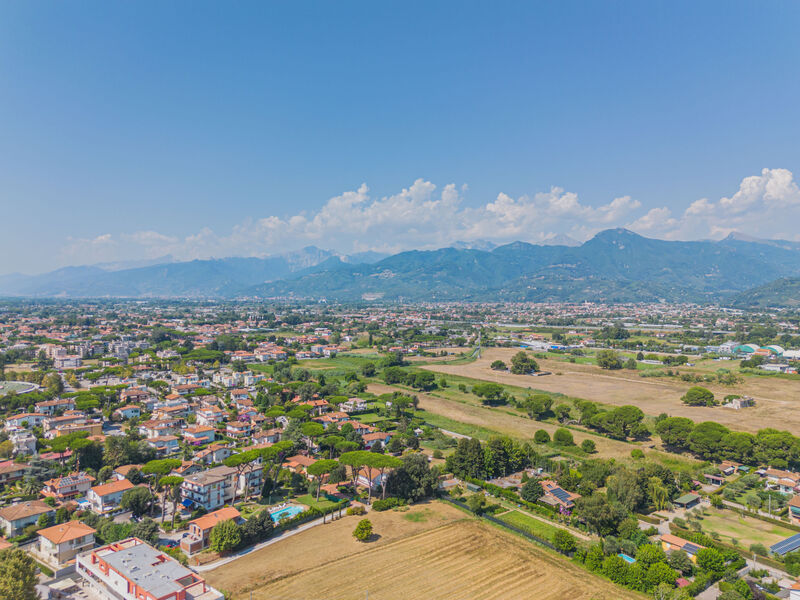 Oasi