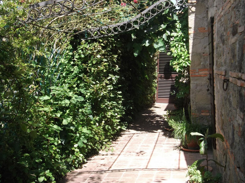 Das Olivenhaus