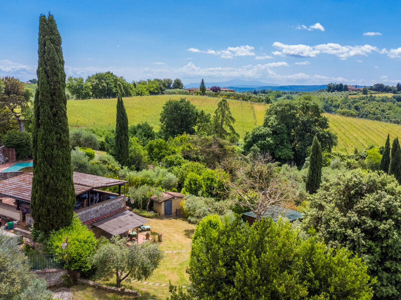 L'Oliviera