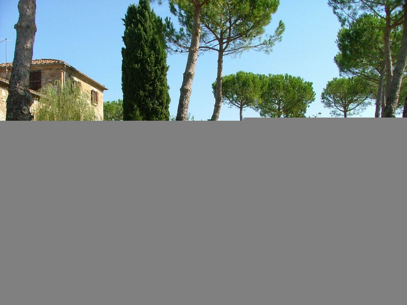 'Molinello albicocco'