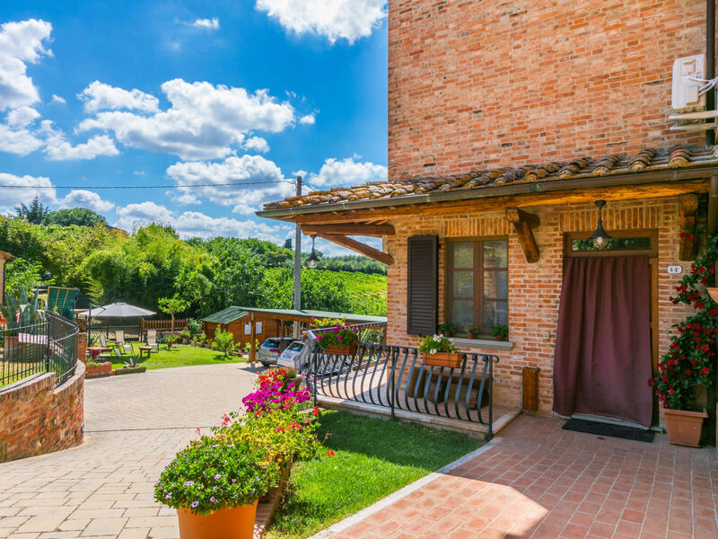 Le rondini