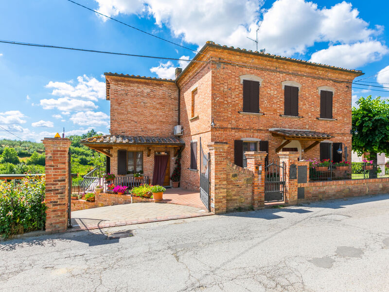 Le rondini