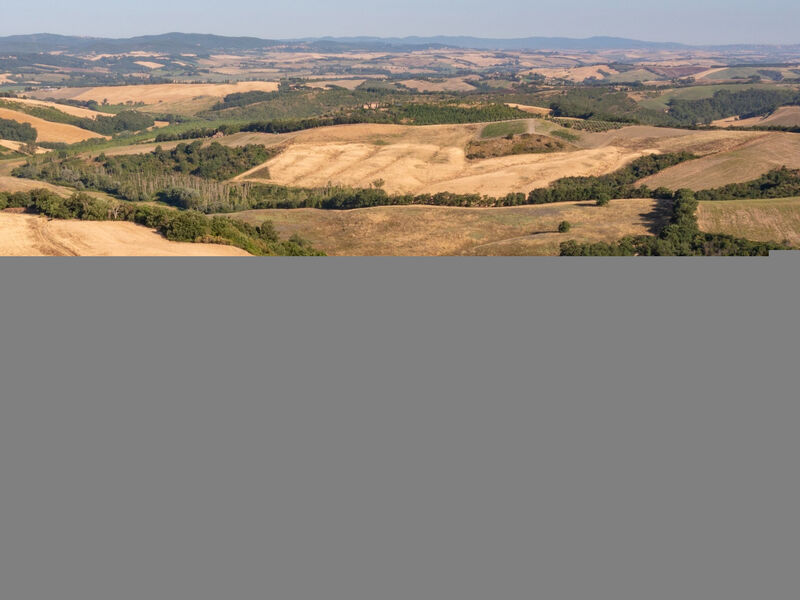 Torrenieri