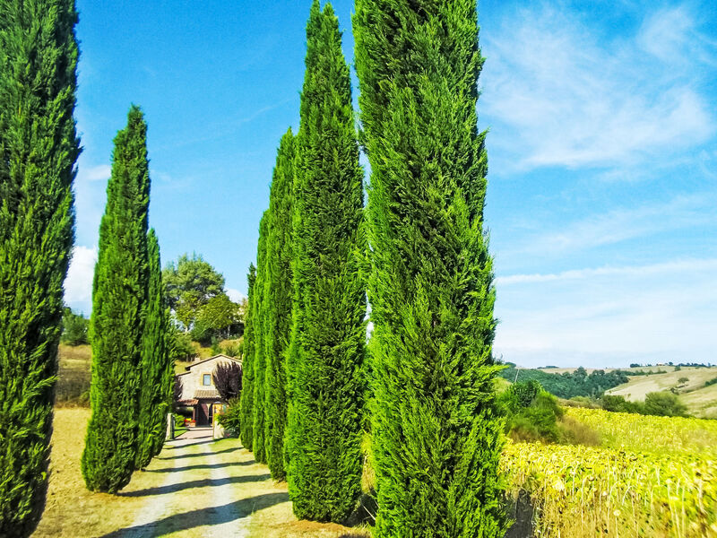Podere Agnese