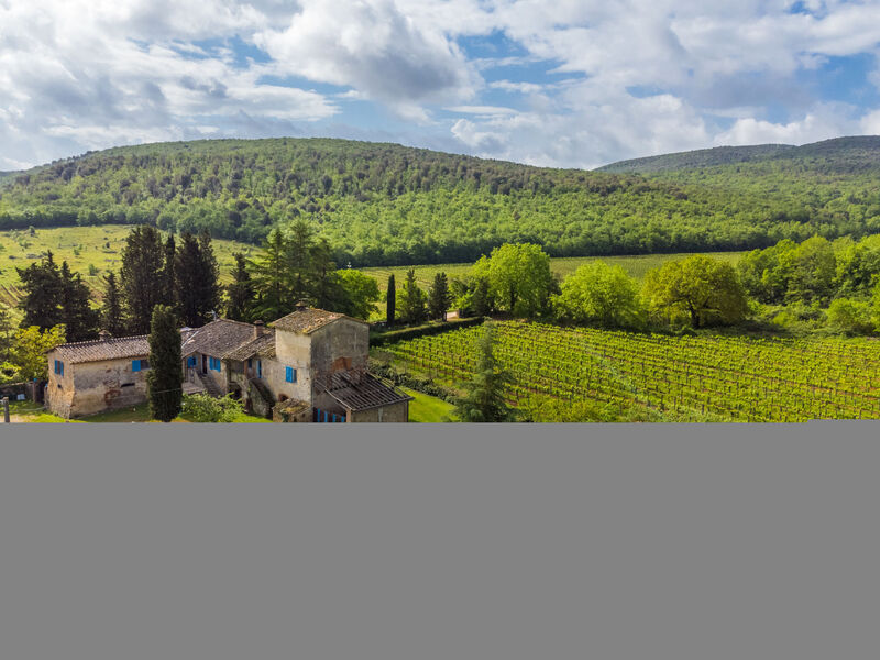 Fattoria Petraglia