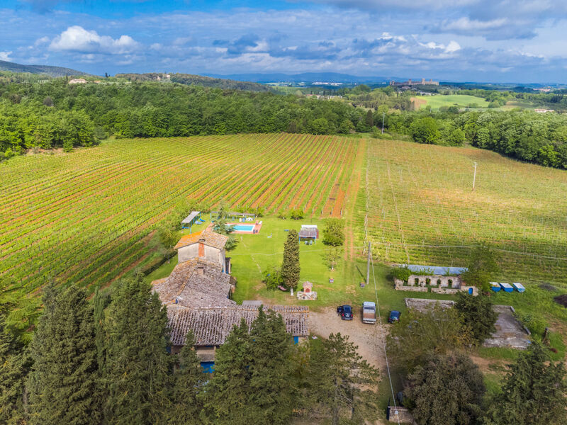 Fattoria Petraglia