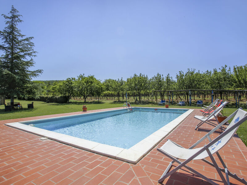 Fattoria Petraglia
