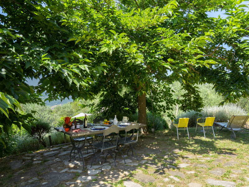 Cafaggio di Sopra