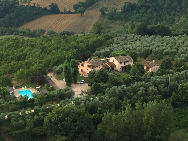 La Torriola Spighe