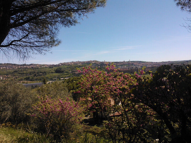 NICE LITTLE FLAT IN THE  GREENERY  IN PERUGIA