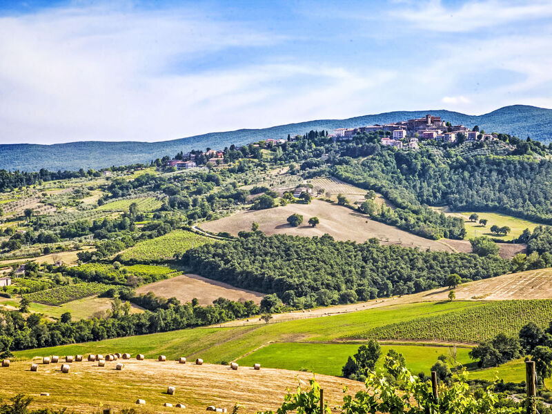 Allerona
