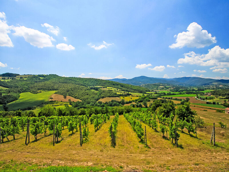 Montebello