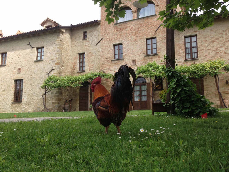 Altes Kloster und eleganter Landsitz