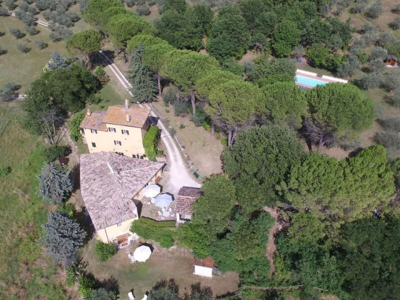 La Ginestra