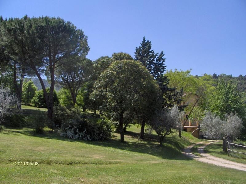 La Ginestra