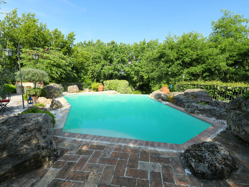 Oasis