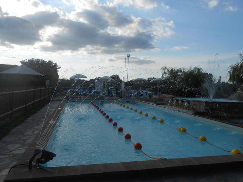Rotreiher-Urlaub am Trasimeno-See