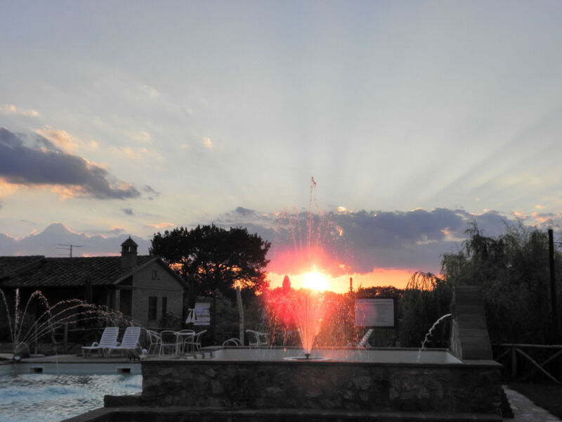 Rotreiher-Urlaub am Trasimeno-See