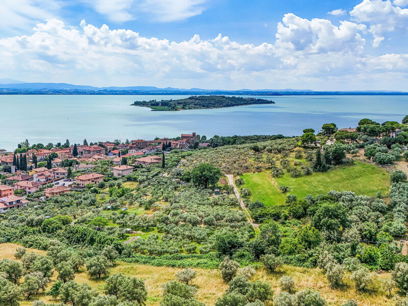 Mariani