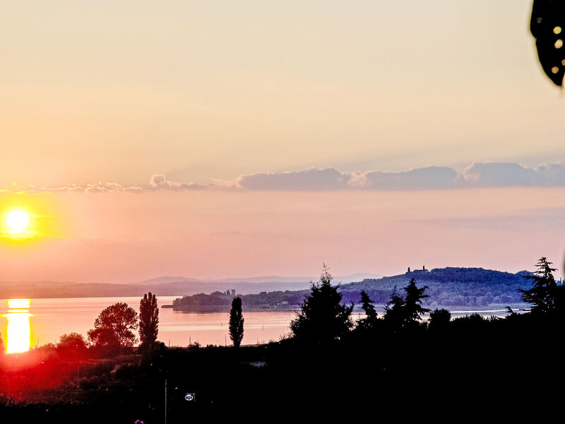 Trasimeno Link