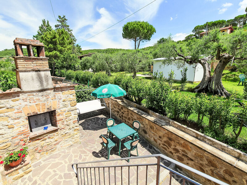 Trasimeno Link