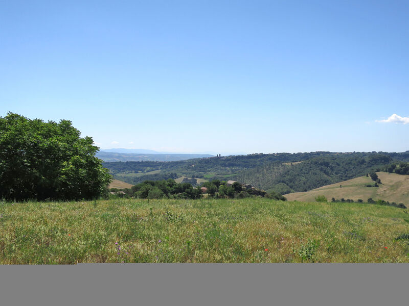 Podere Poggiolo