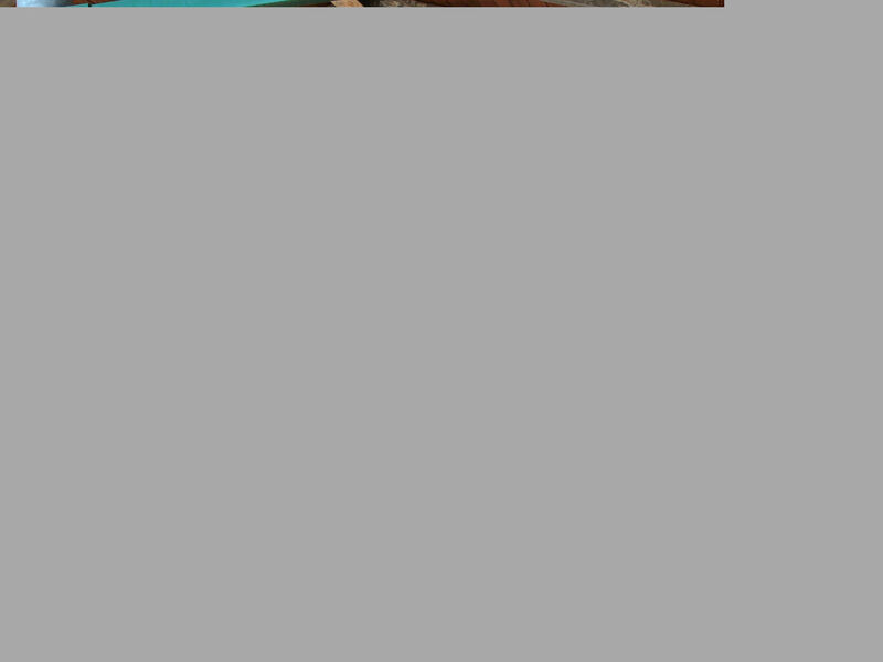 Quattro Rose
