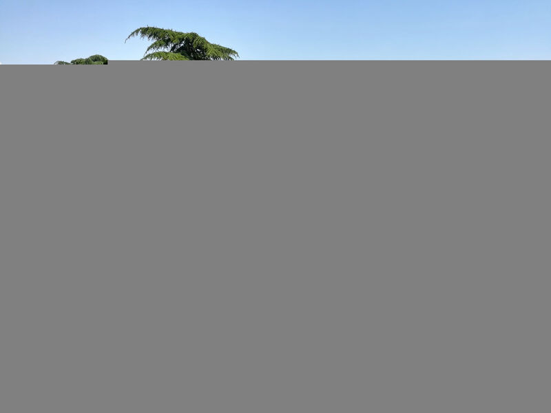 La Terrazza Di Dinky