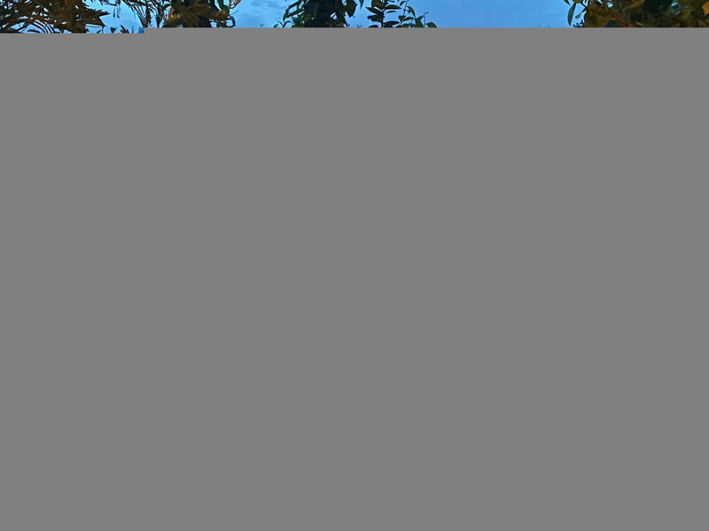 Nataly Country House