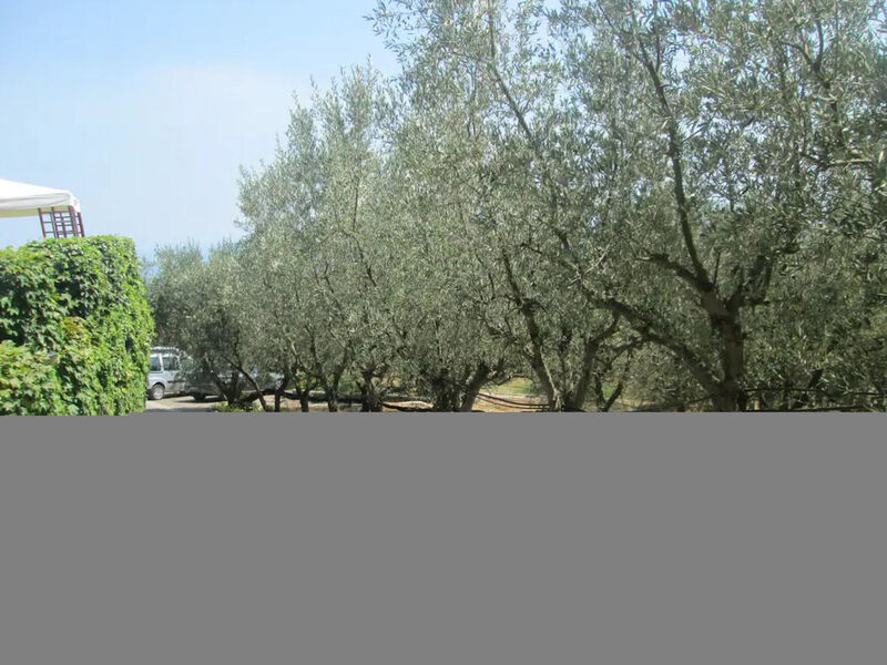 Garden House Li Galli