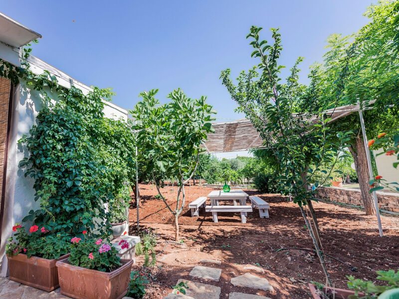 Casal del Borgo 6