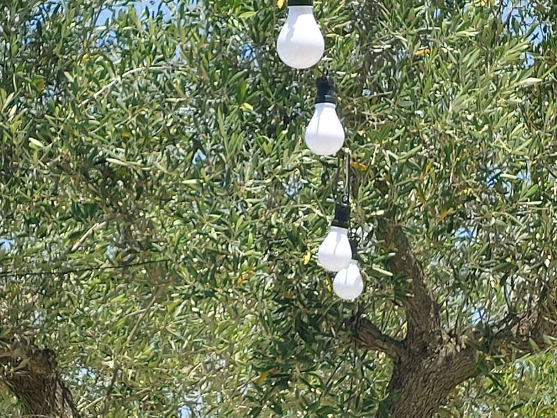 Vila Valle degli Ulivi