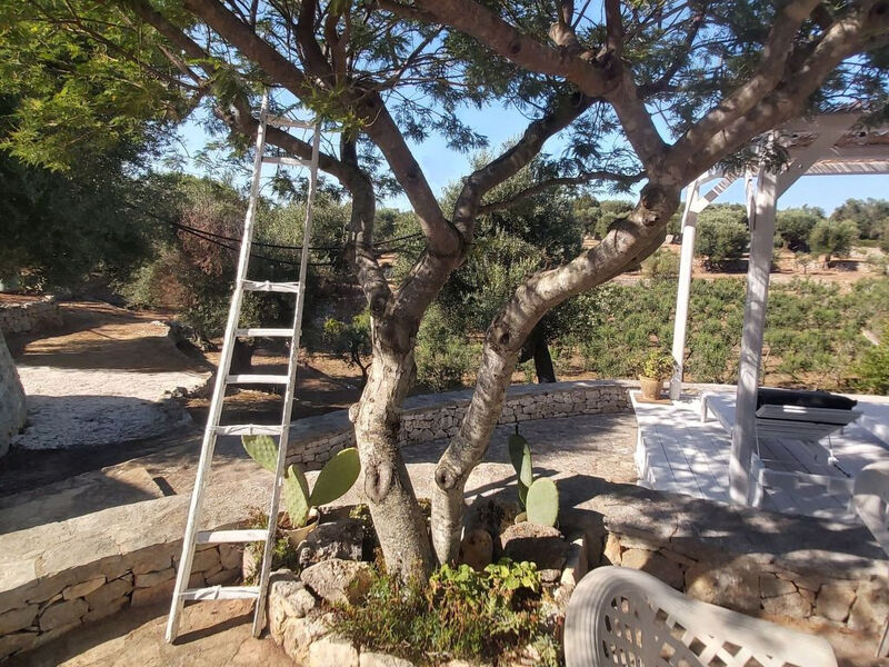 Vila Valle degli Ulivi